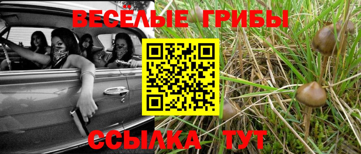 Псилоцибиновые грибы мухоморы Зима