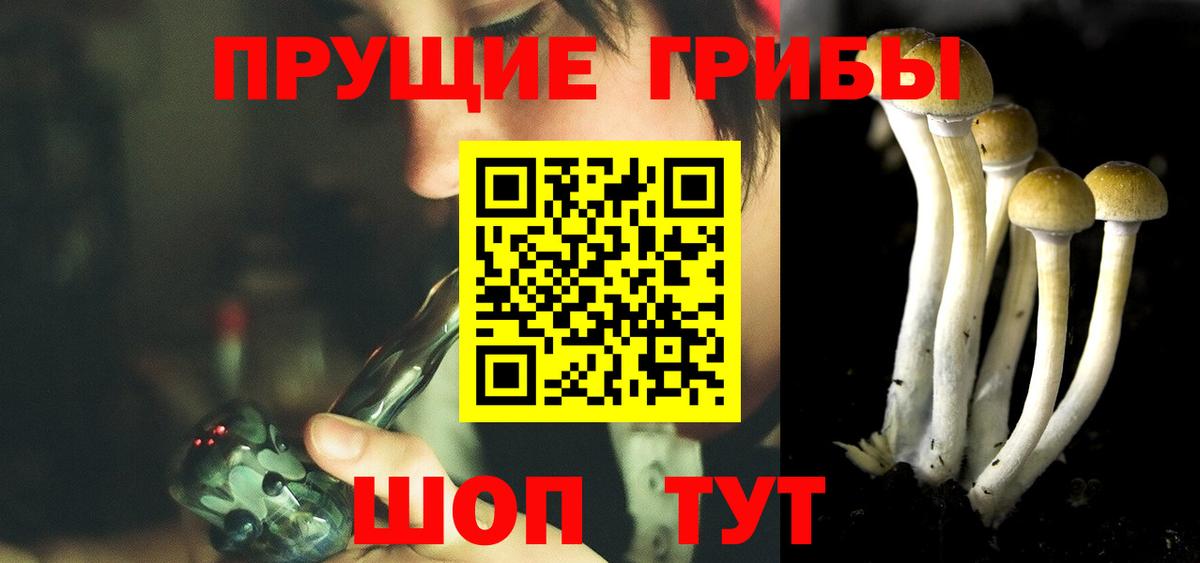 Зима  Галлюциногенные грибы Cubensis  Вход с VPN 